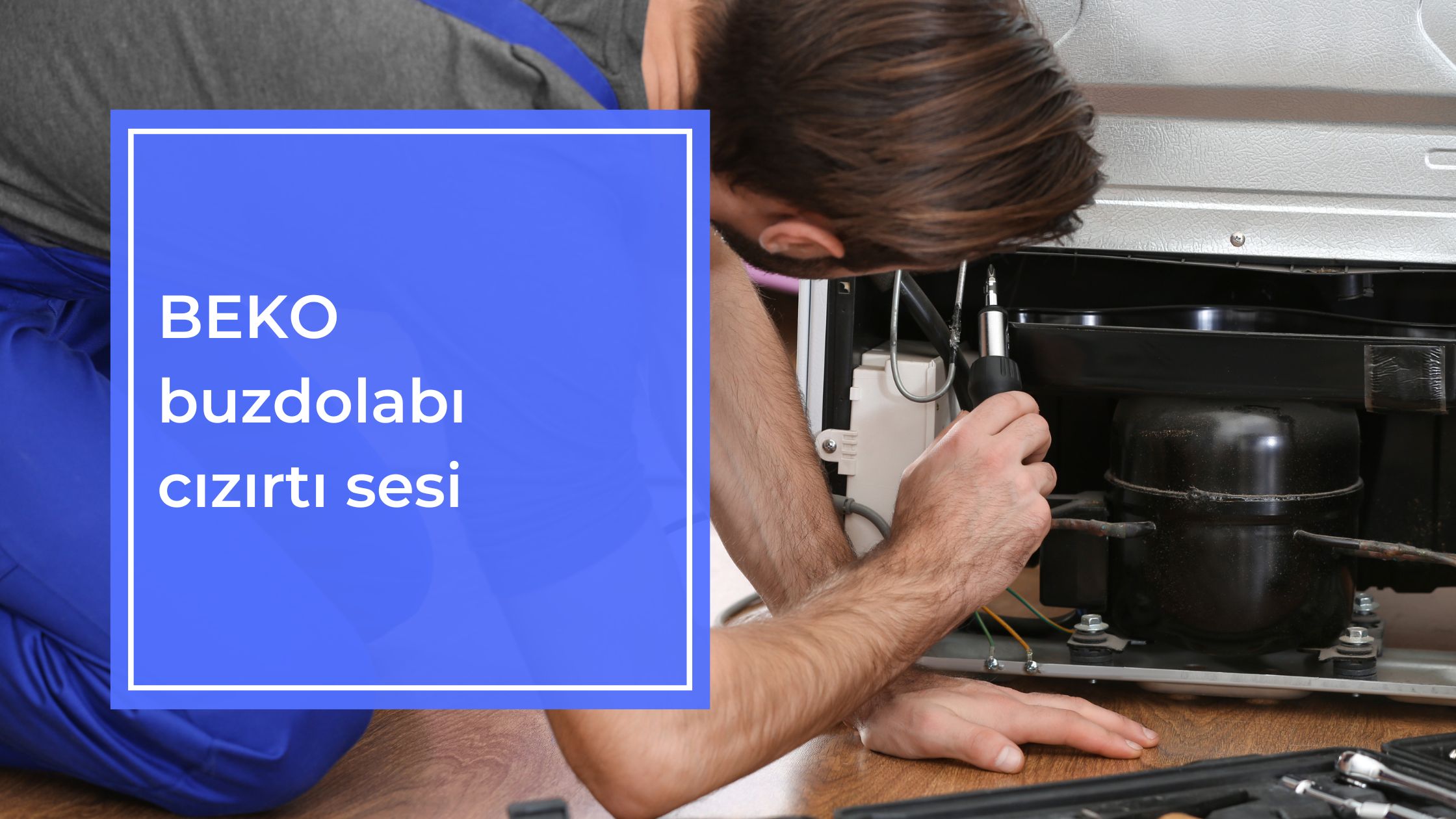 Beko Buzdolabı Cızırtı Sesi