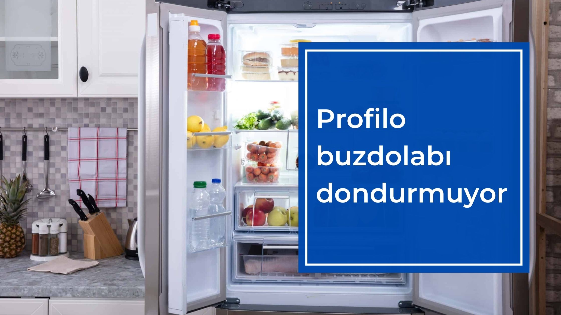 Profilo Buzdolabı Dondurmuyor