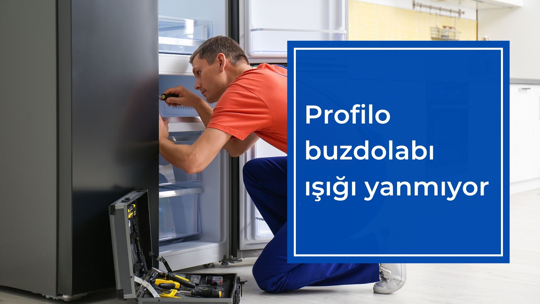 Profilo Buzdolabı Işığı Yanmıyor