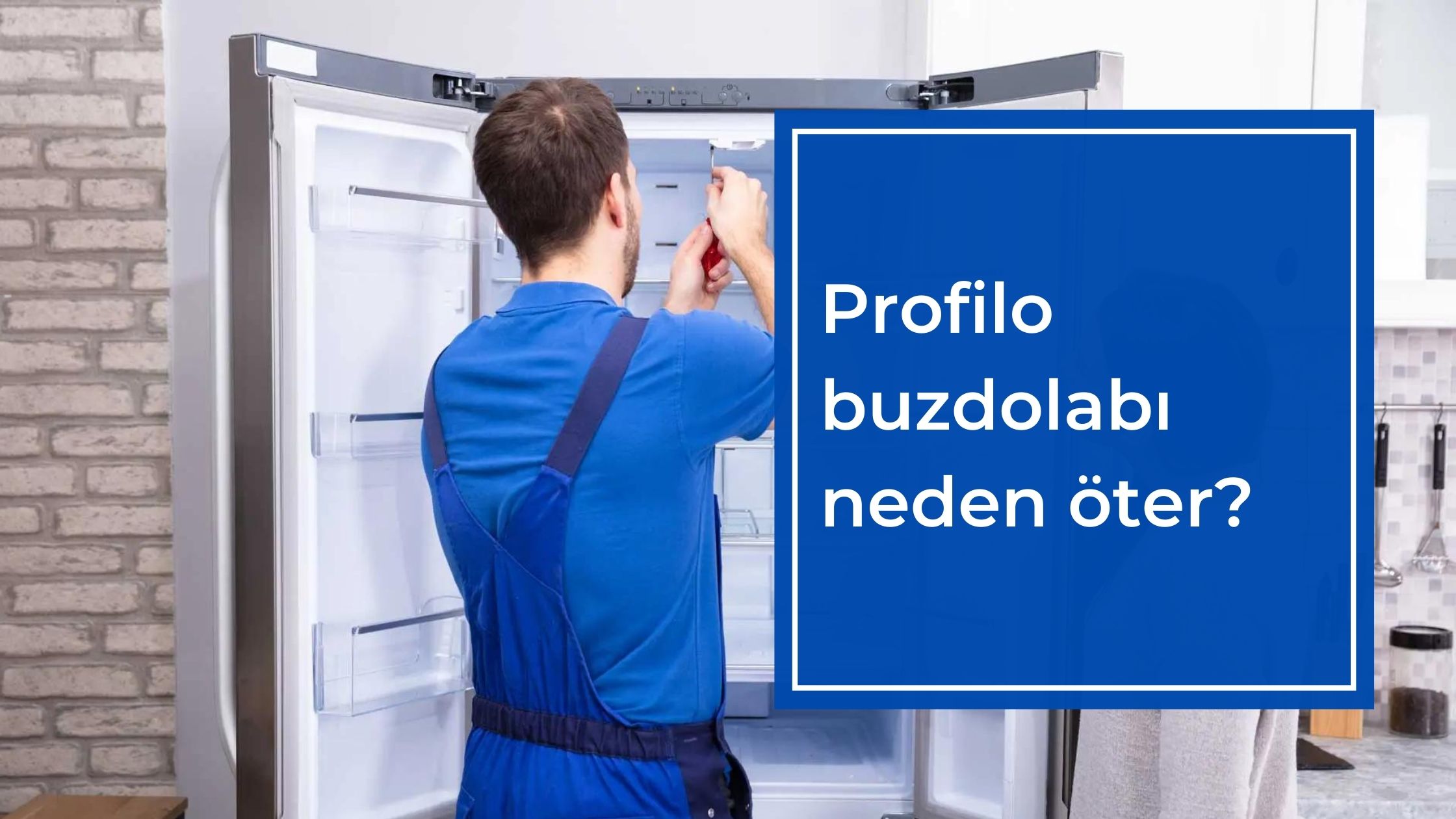 Profilo Buzdolabı Neden Öter?