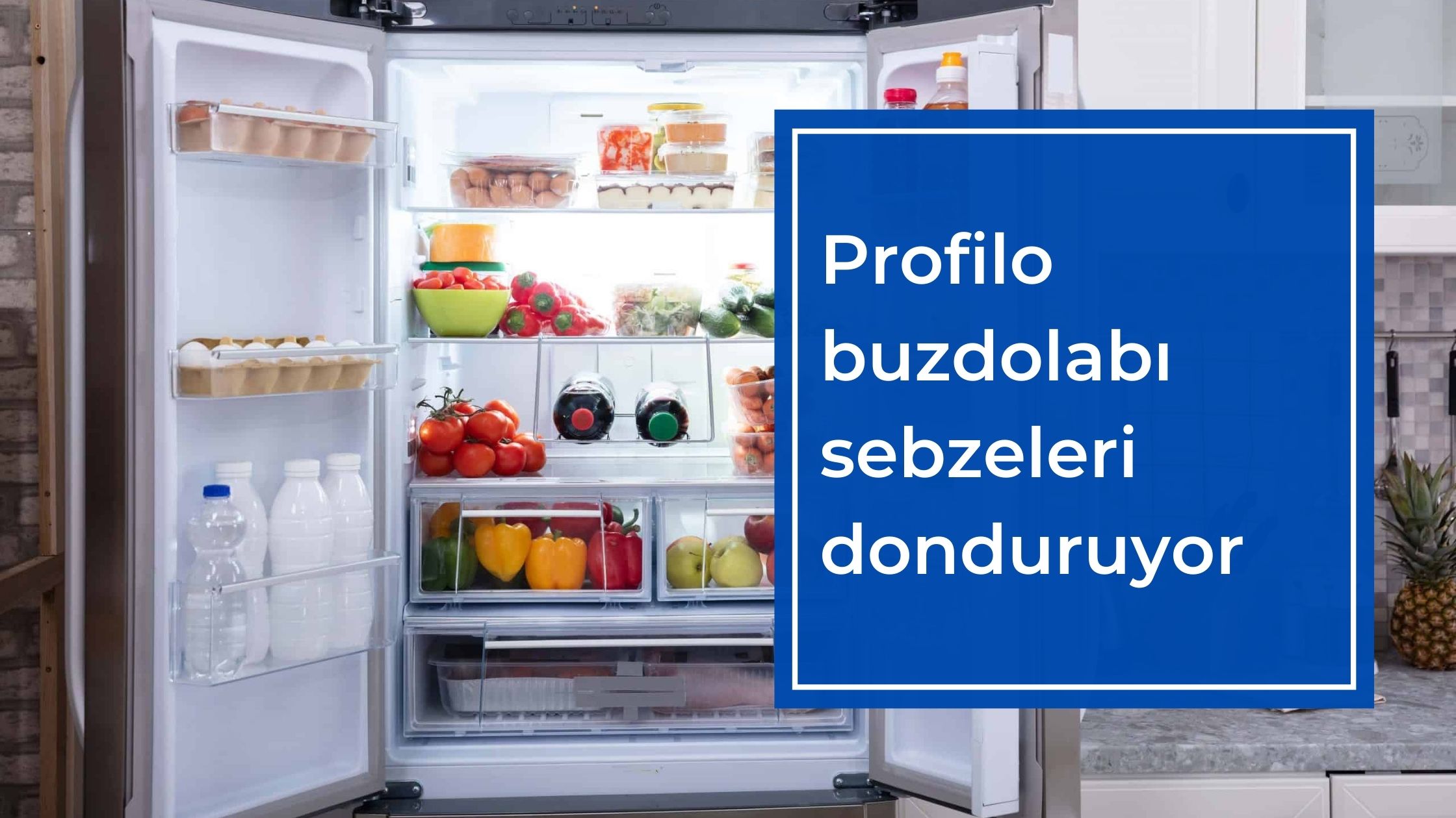 Profilo Buzdolabı Sebzeleri Donduruyor