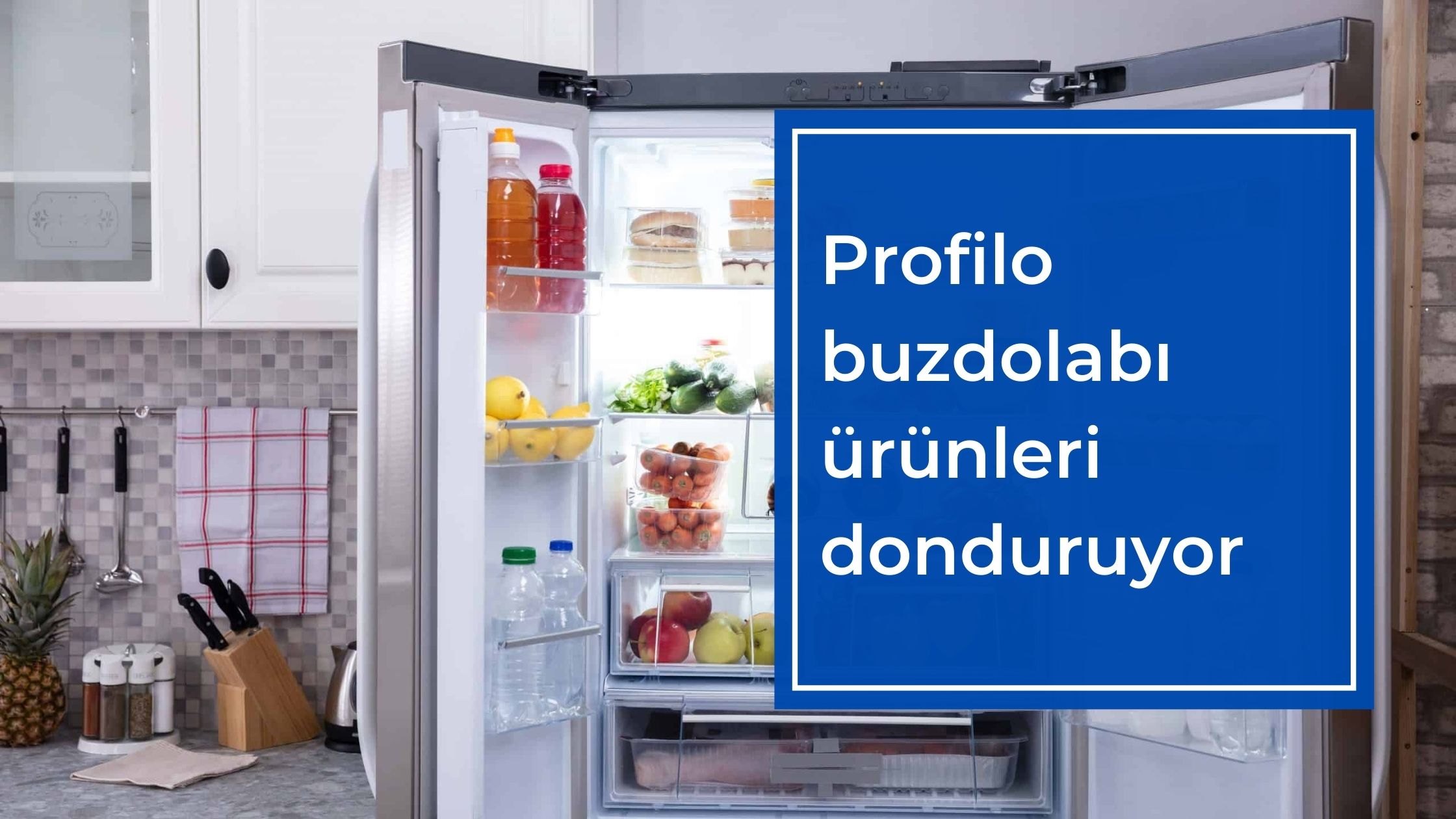 Profilo Buzdolabı Ürünleri Donduruyor