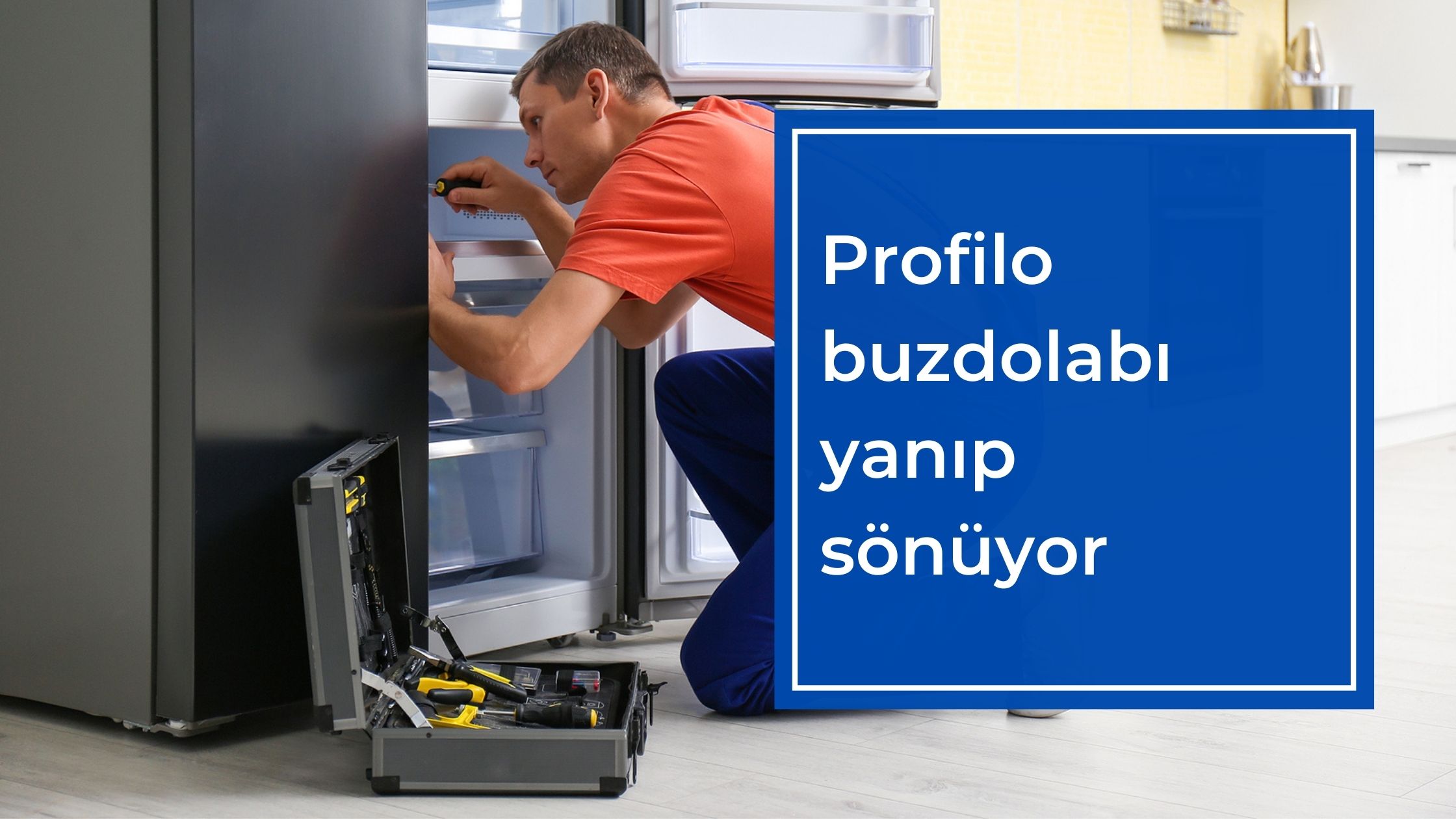 Profilo Buzdolabı Yanıp Sönüyor