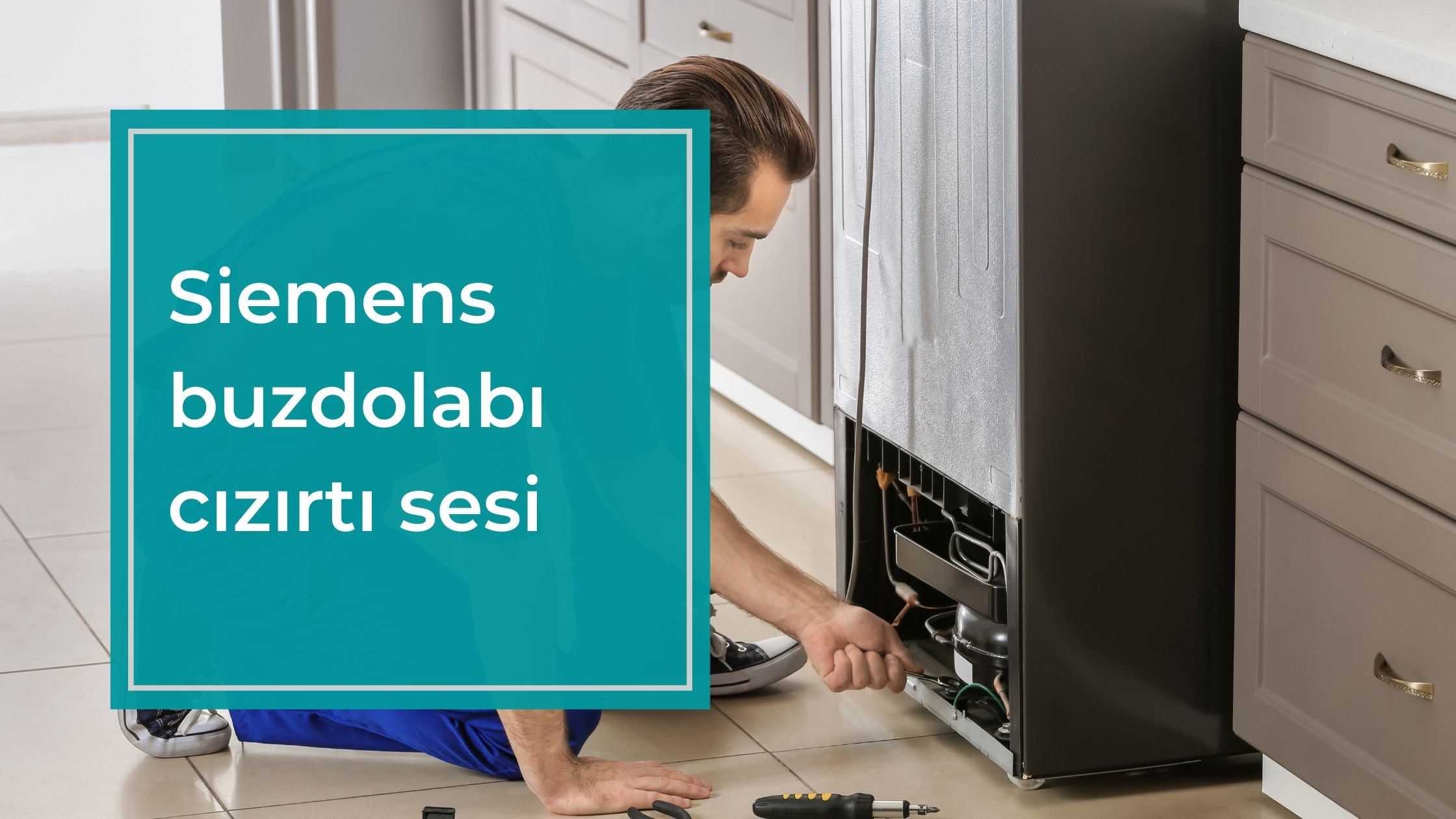 Siemens Buzdolabı Cızırtı Sesi