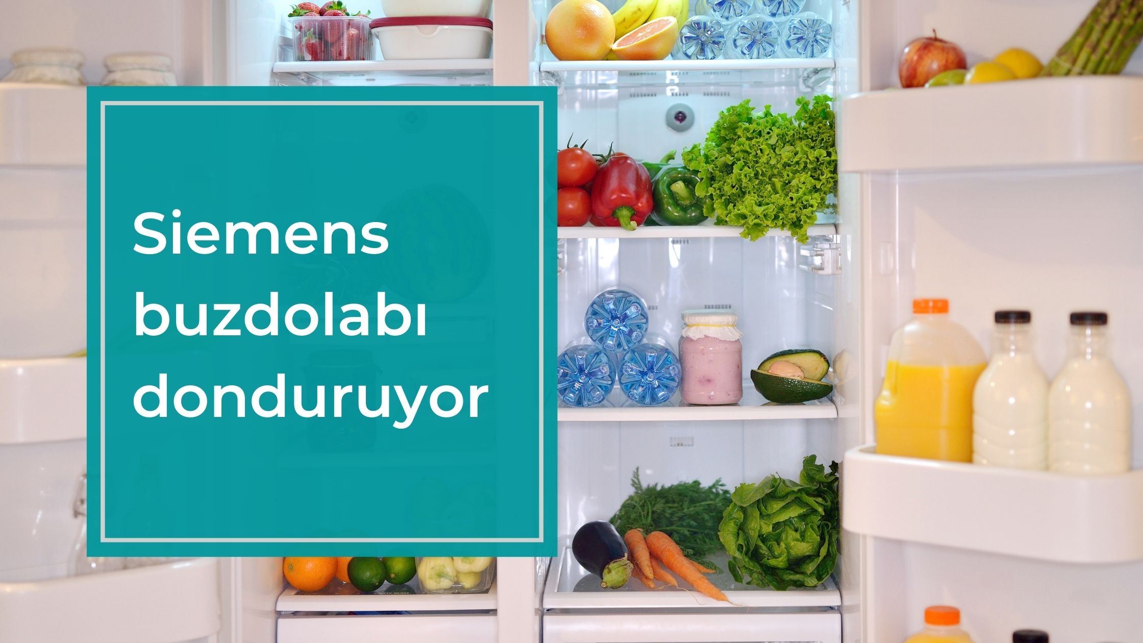 Siemens Buzdolabı Donduruyor