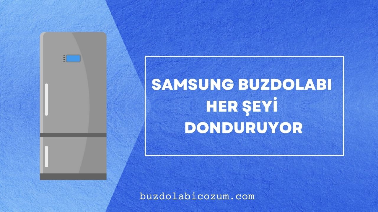 Samsung Buzdolabı Her Şeyi Donduruyor